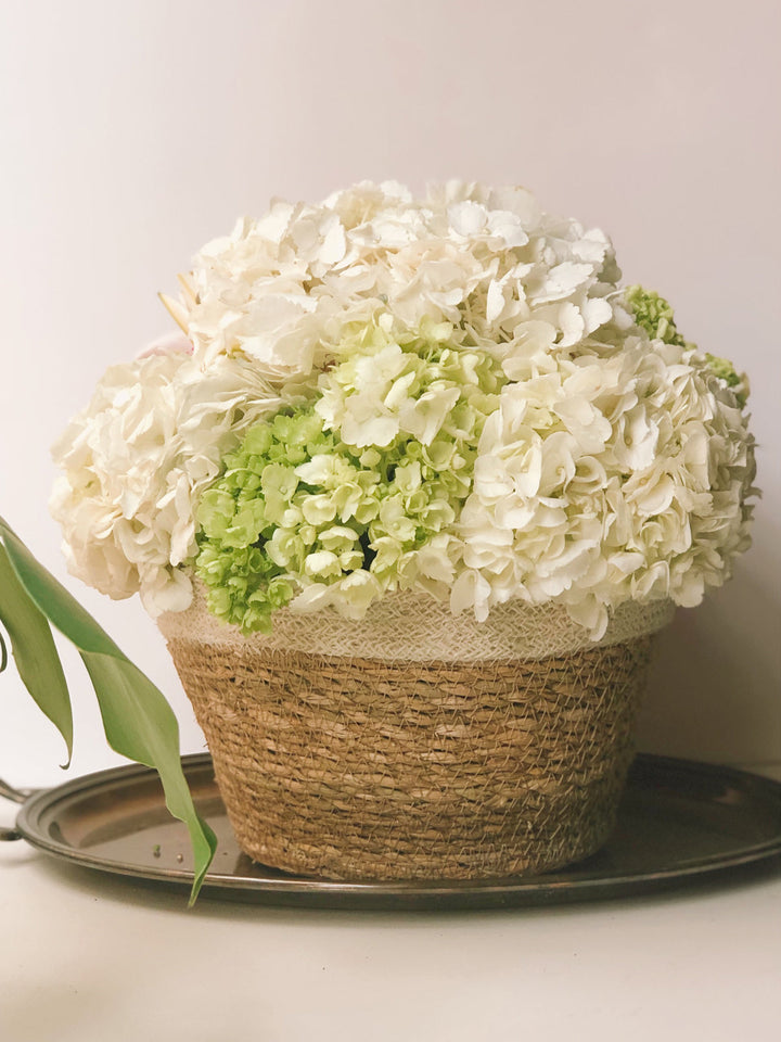 Handmade Plant Bowl Baskets, Natural & Ivory (Set of 3)