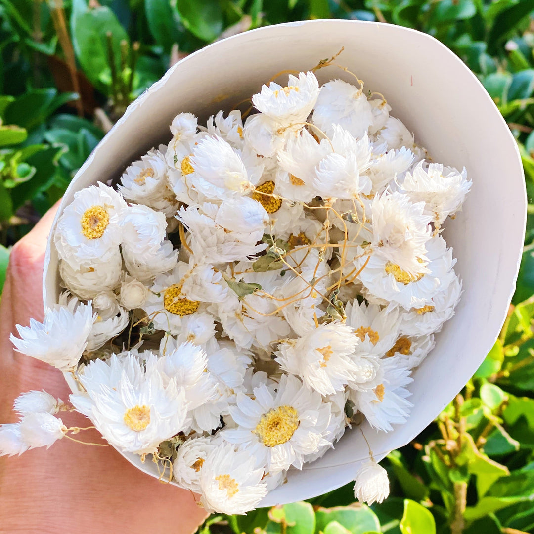 Flower Bunch, Dried Beauty