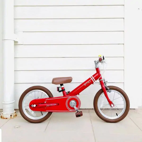 Versatile Kids Convertible Bike