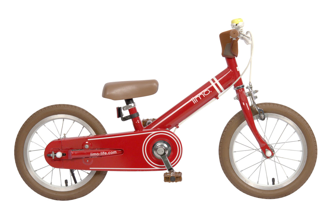 Versatile Kids Convertible Bike