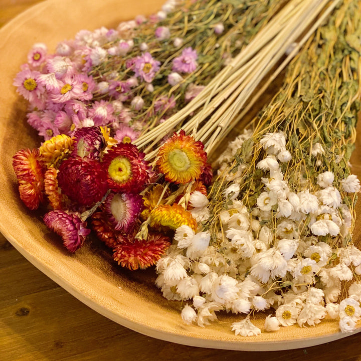 Flower Bunch, Dried Beauty