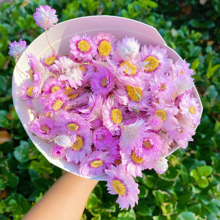 Flower Bunch, Dried Beauty