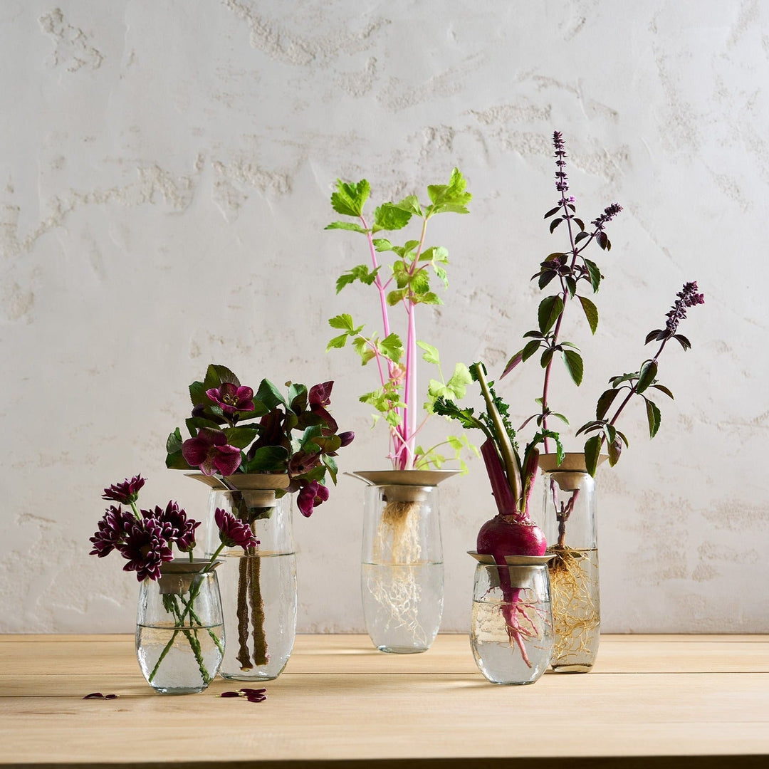 Hand-Blown Plant Propagation Vases, Set of 3