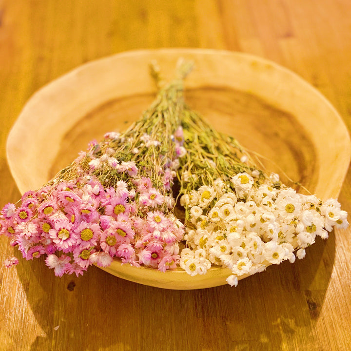 Flower Bunch, Dried Beauty