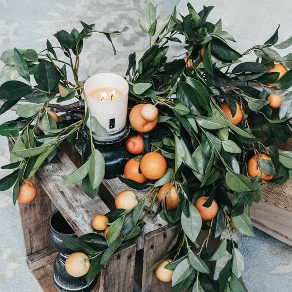 Soy Candle, Citrus Tree