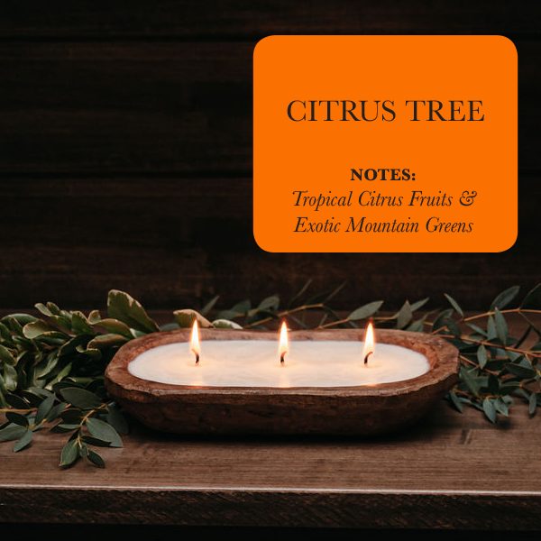 3-Wick Soy Candle, Citrus Tree