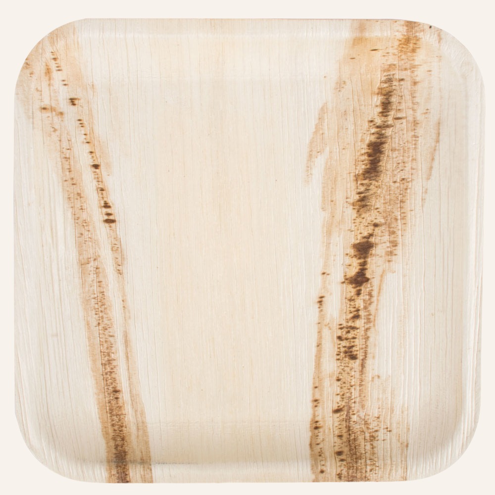 Disposable Palm Leaf Square Plates Set, 9 Inches