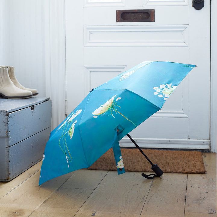 Compact Umbrella, Lace on Teal