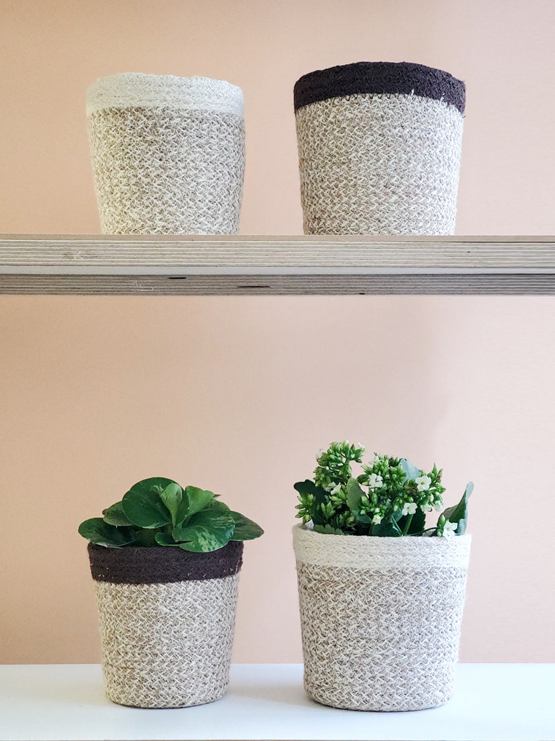 Handwoven Jute Plant Basket, White Trim