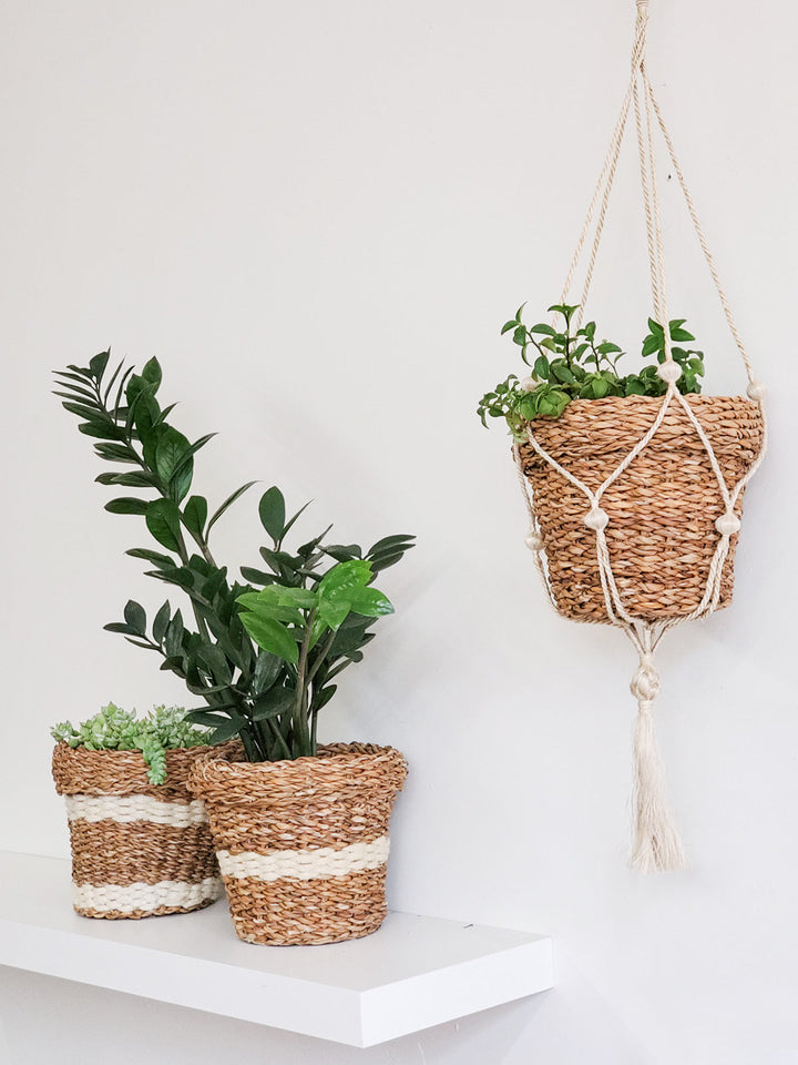 Plant Pot Basket, Striped White or Not