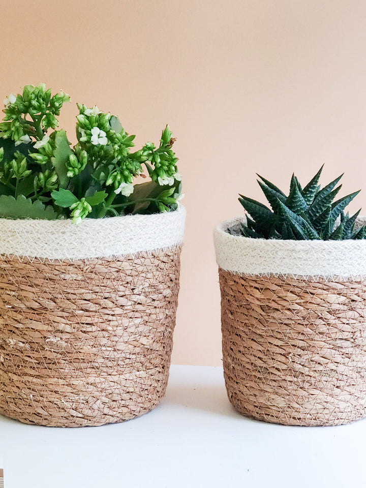 Plant Basket, Natural & White Trim