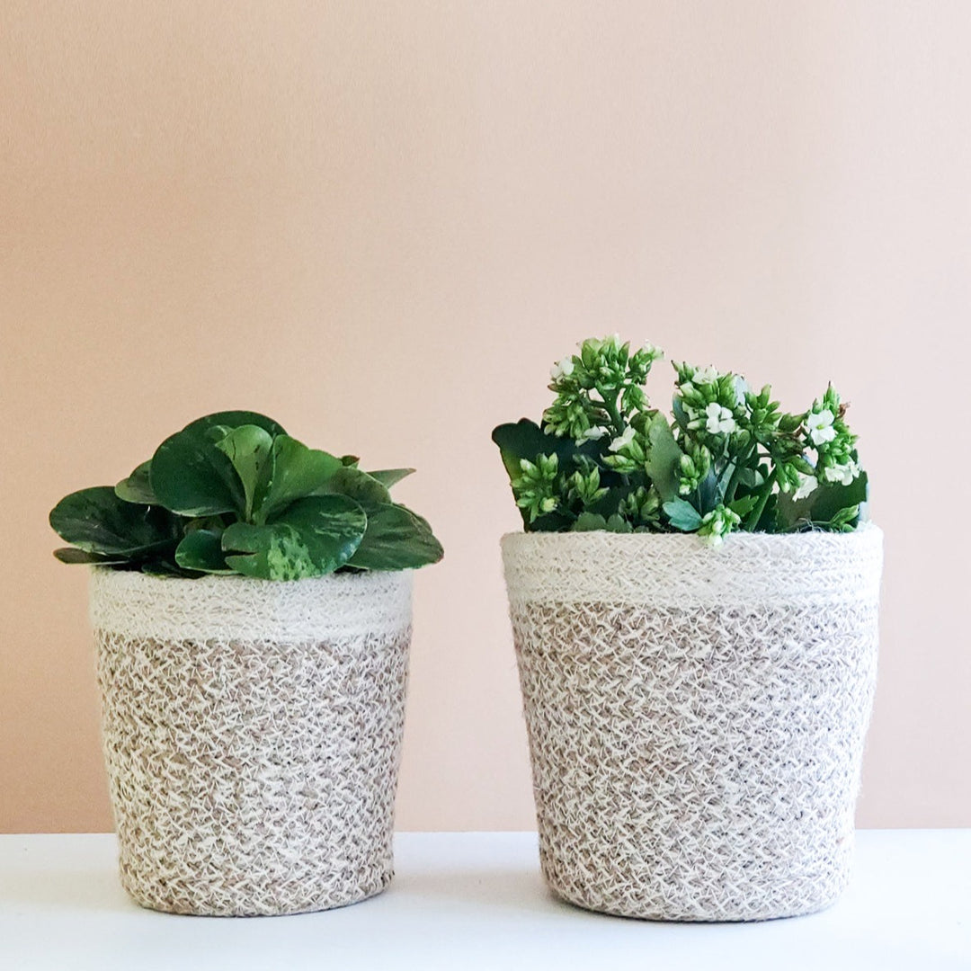 Handwoven Jute Plant Basket, White Trim