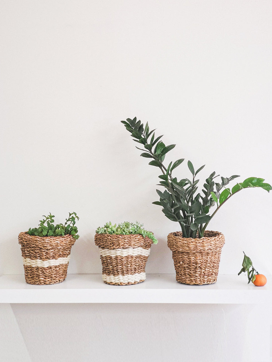 Plant Pot Basket, Striped White or Not