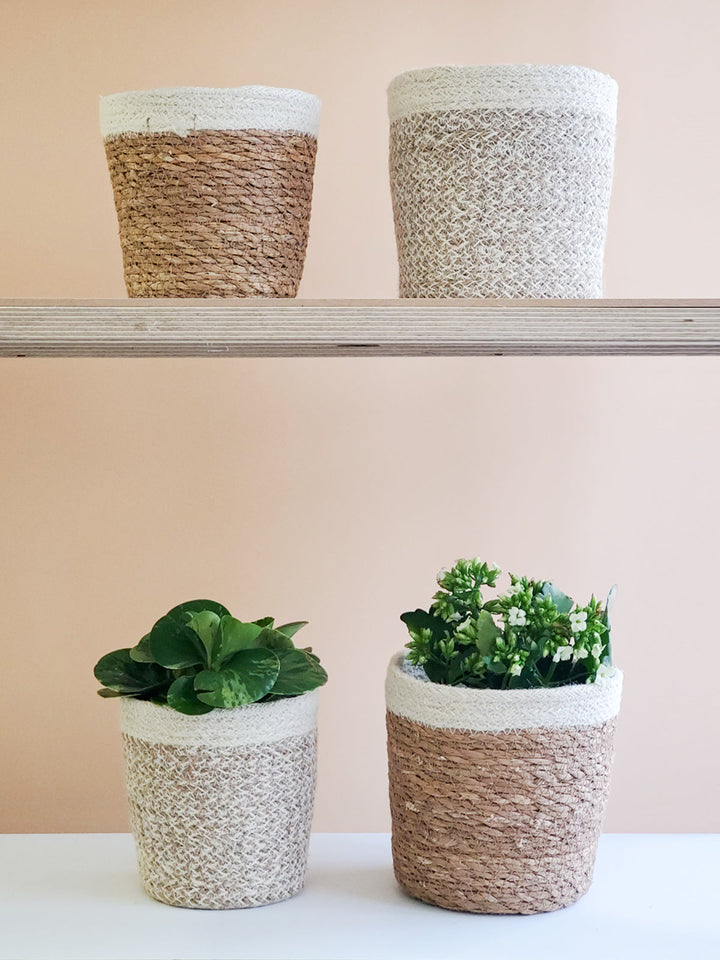 Plant Basket, Natural & White Trim