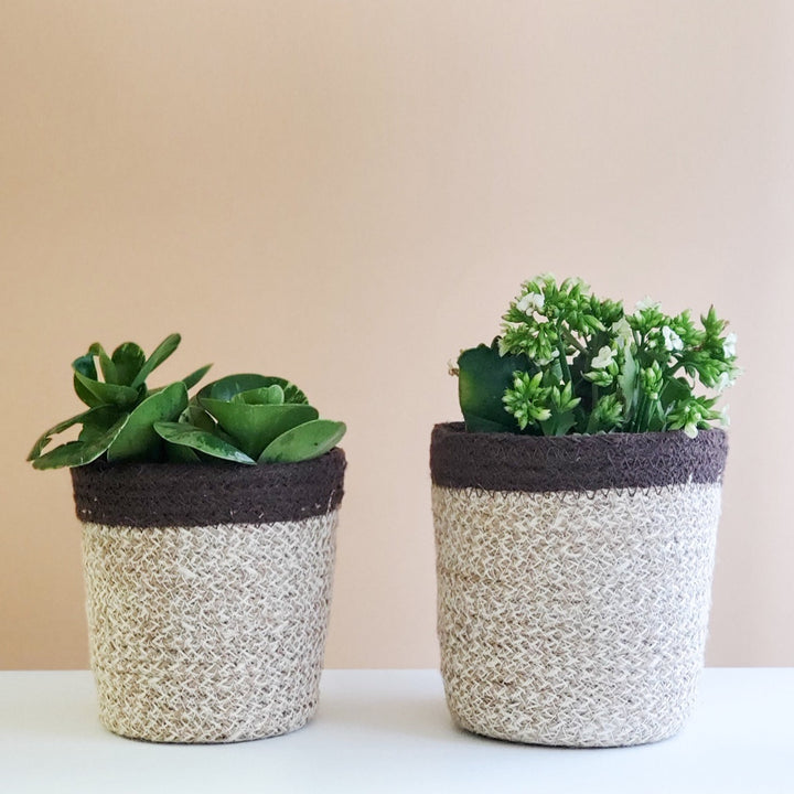 Planter Basket, Brown Edge
