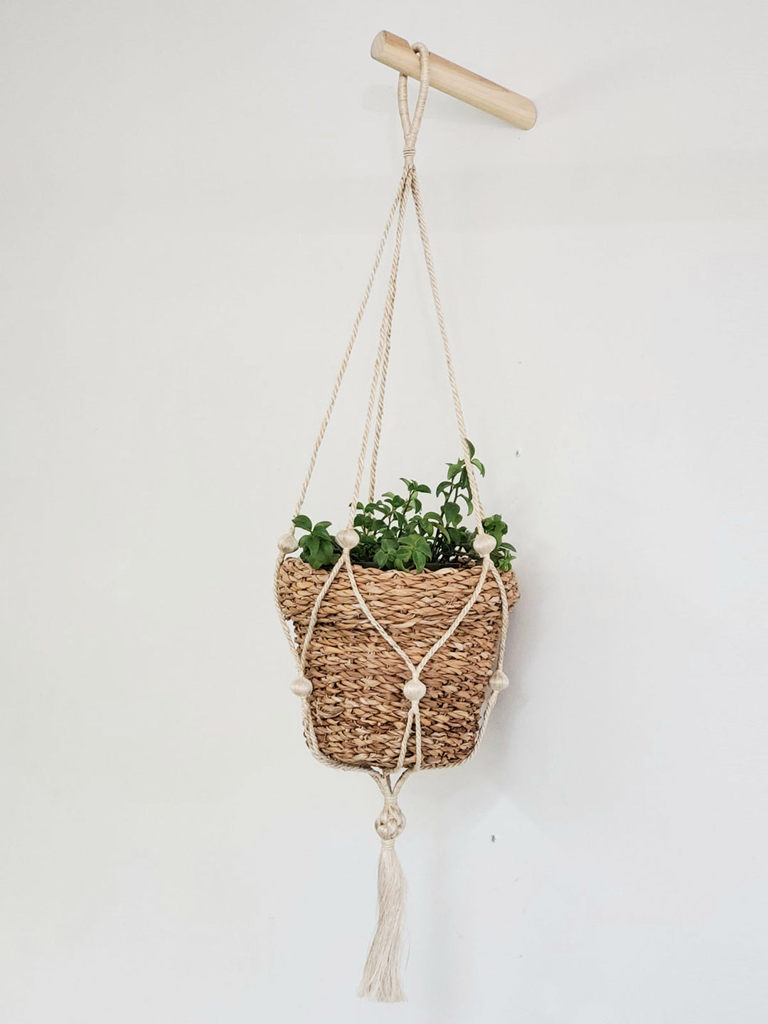 Plant Pot Basket, Striped White or Not