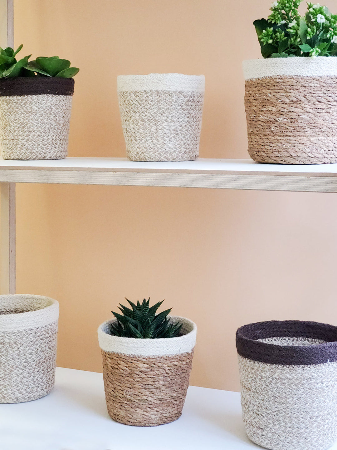 Planter Basket, Brown Edge