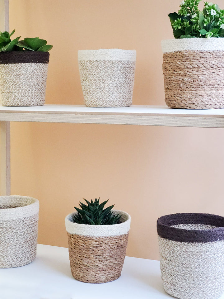 Planter Basket, Brown Edge