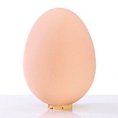 Egg-Shaped Salt Shaker, Porcelain