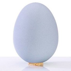 Egg-Shaped Salt Shaker, Porcelain