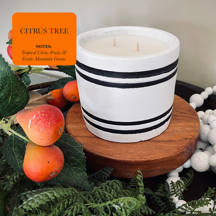 Striped Stone Candle, Citrus Tree