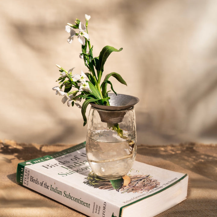 Hand-Blown Plant Propagation Vases, Set of 3