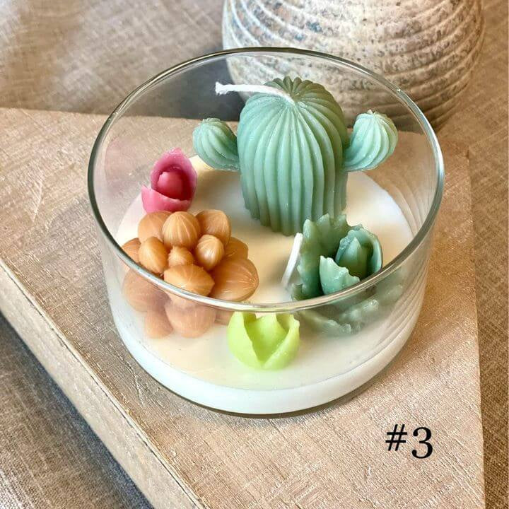 Handmade Coconut Hibiscus Terrarium Garden Candle, Variety