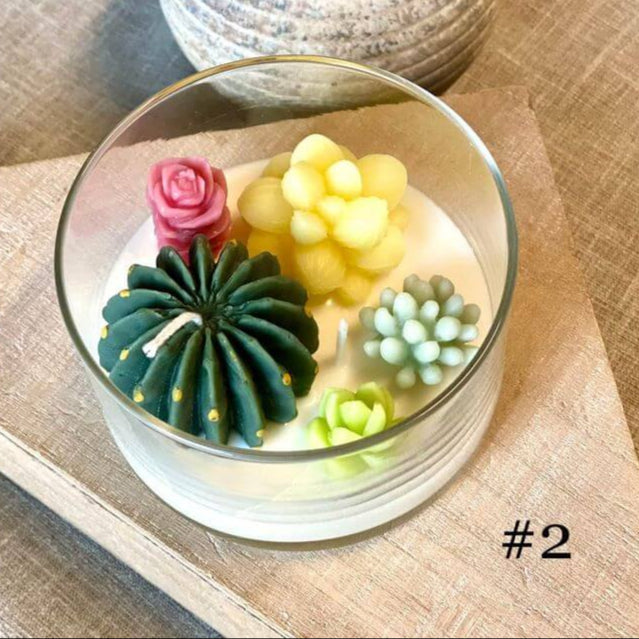 Handmade Coconut Hibiscus Terrarium Garden Candle, Variety