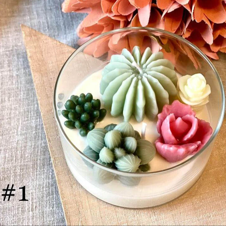Handmade Coconut Hibiscus Terrarium Garden Candle, Variety