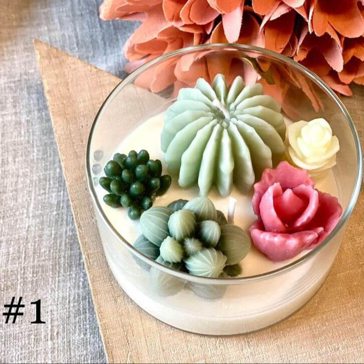 Handmade Coconut Hibiscus Terrarium Garden Candle, Variety