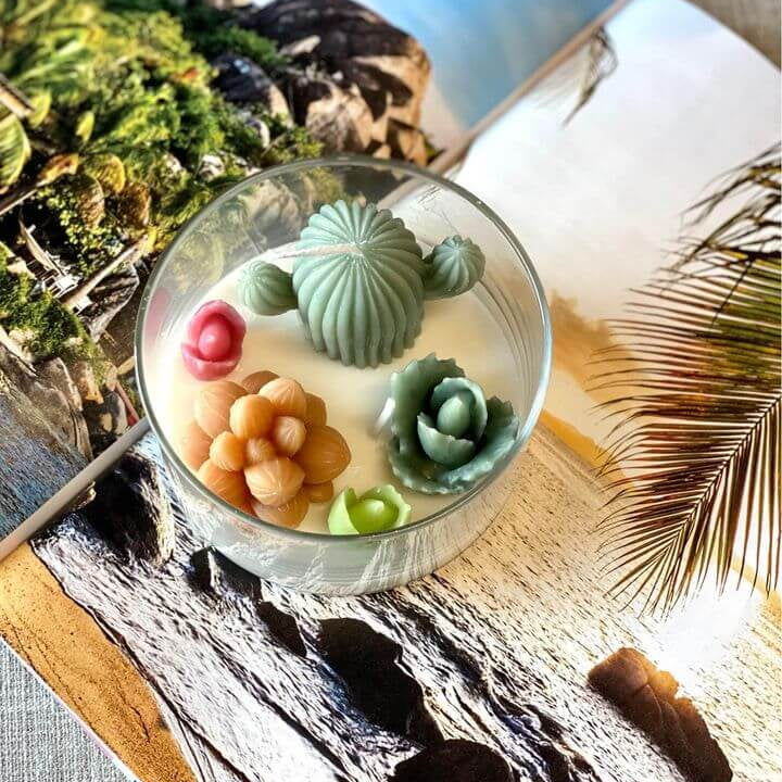 Handmade Coconut Hibiscus Terrarium Garden Candle, Variety