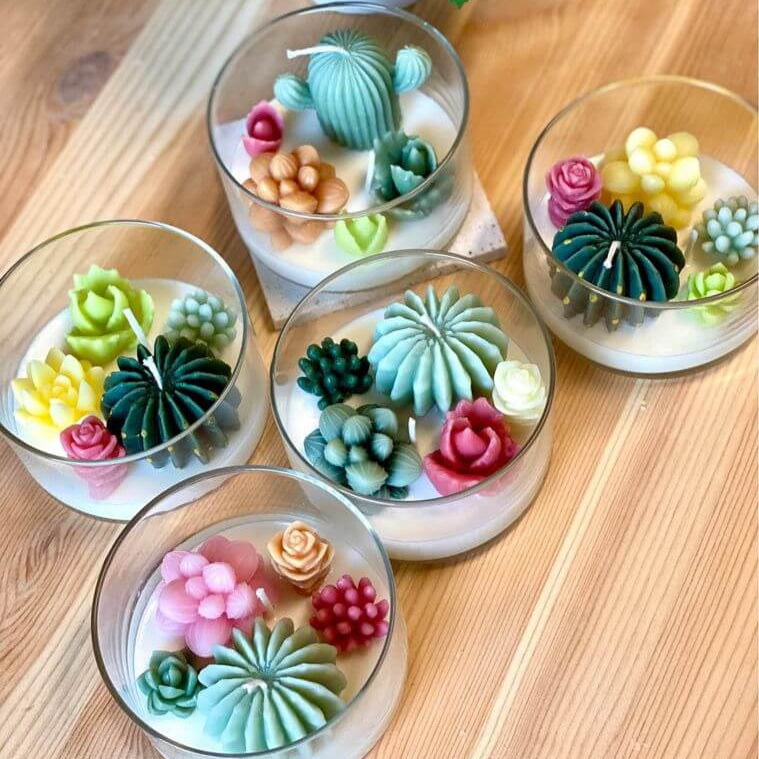 Handmade Coconut Hibiscus Terrarium Garden Candle, Variety