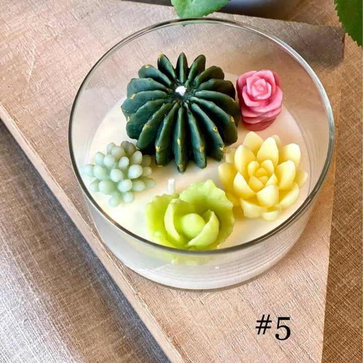 Handmade Coconut Hibiscus Terrarium Garden Candle, Variety