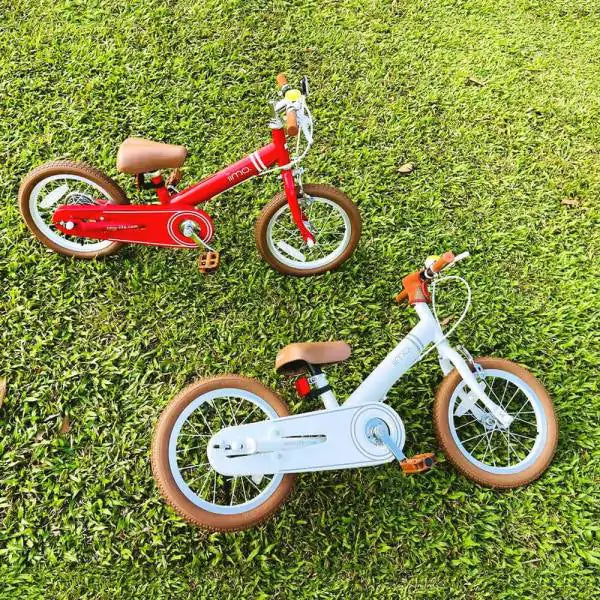 Versatile Kids Convertible Bike