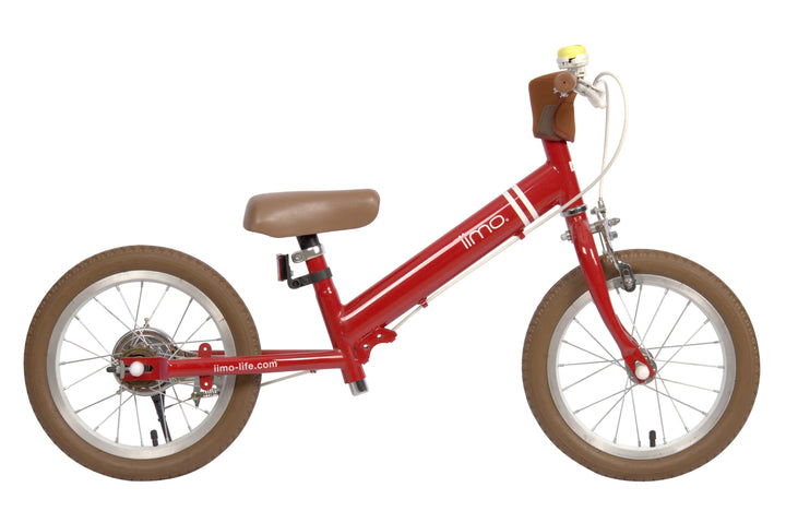 Versatile Kids Convertible Bike