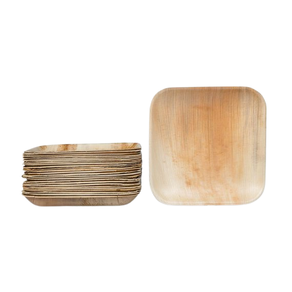 Disposable Palm Leaf Square Plates Set, 9 Inches