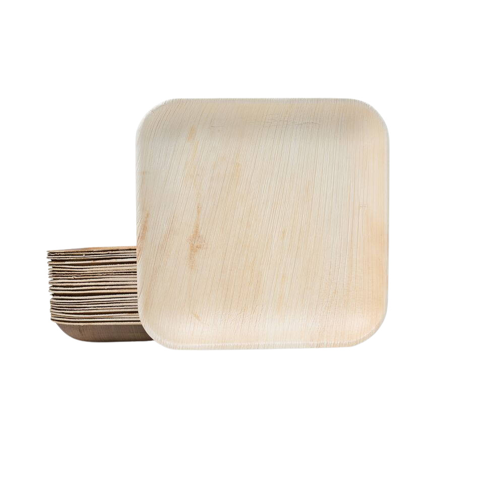 Disposable Palm Leaf Square Plates Set, 10 Inches