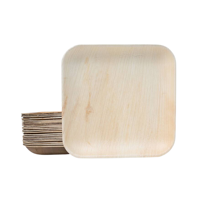 Disposable Palm Leaf Square Plates Set, 10 Inches