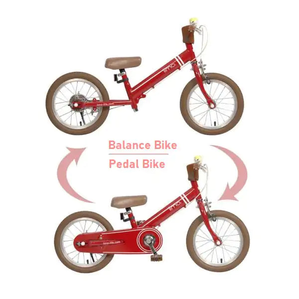 Versatile Kids Convertible Bike