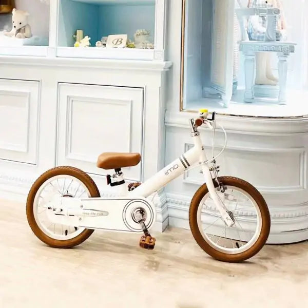 Versatile Kids Convertible Bike