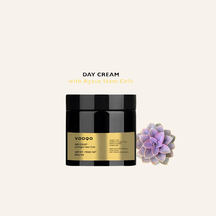 Day Cream, SPF