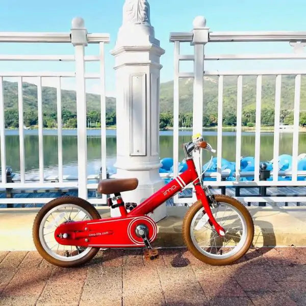 Versatile Kids Convertible Bike